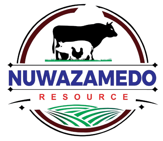 Nuwazamedo Resources